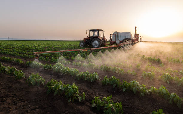 Best Pest Control for Businesses  in Andusia, AL