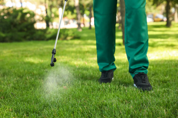 Best Wasp Removal Services  in Andusia, AL