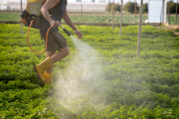 Best Pest Control for Homes  in Andusia, AL