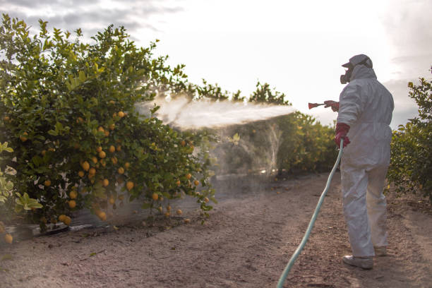 Best Pest Inspection Near Me  in Andusia, AL
