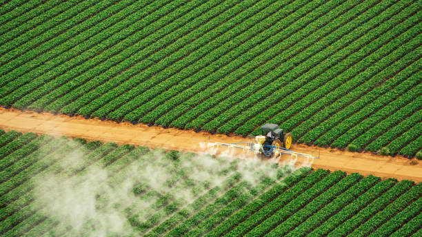 Professional Pest Control in Andalusia, AL