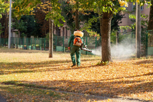 Best Emergency Pest Control  in Andusia, AL