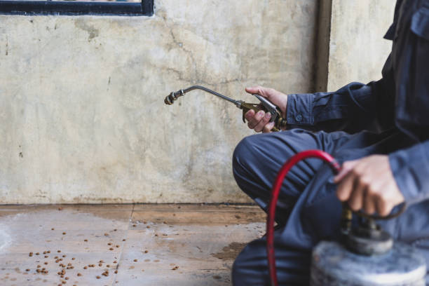 Best Mosquito Control Services  in Andusia, AL